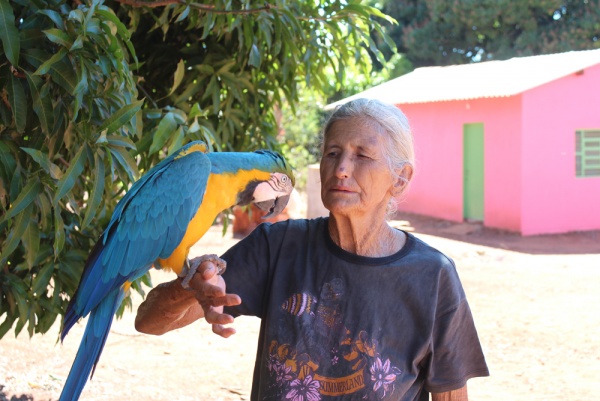 Dona Laura ajuda as pessoas há 70 anos: uma voz guia a benzedeira