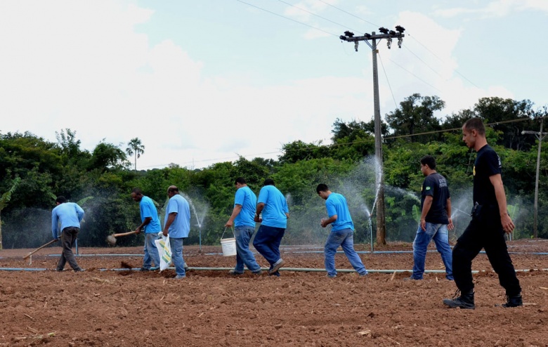 Projeto Fazenda Esperança em Goianésia, onde os presos têm ocupação e garantem a sua ressocialização