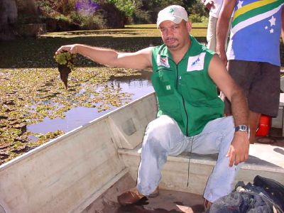 Plantas aquáticas ‘invadiram o Rio Passa três, que abastece Uruaçu