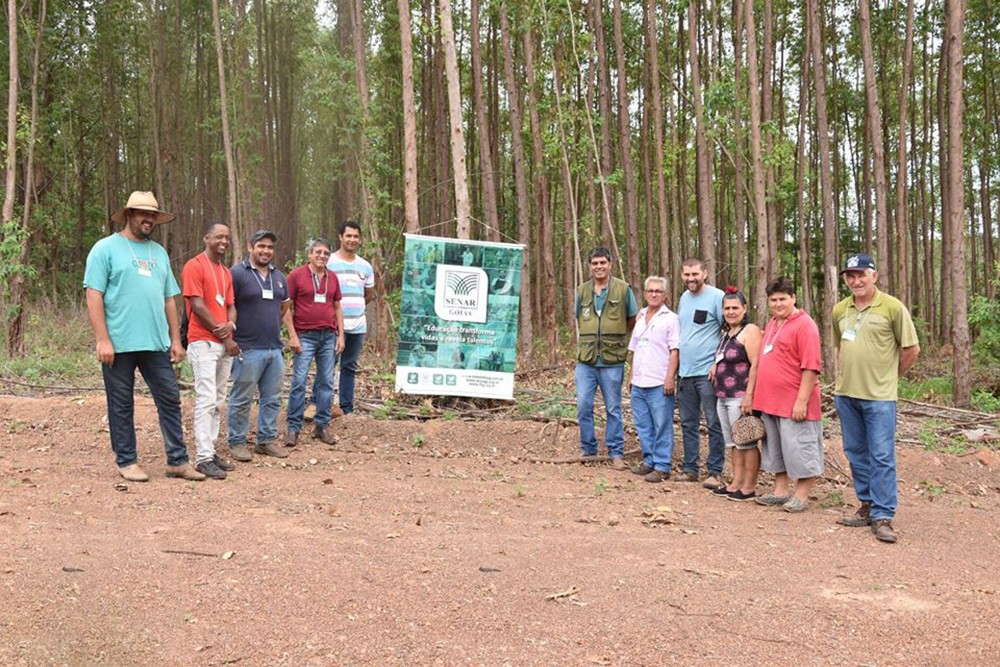Produtores rurais de Alto Horizonte participam de curso sobre o tratamento e plantio de eucalipto na região