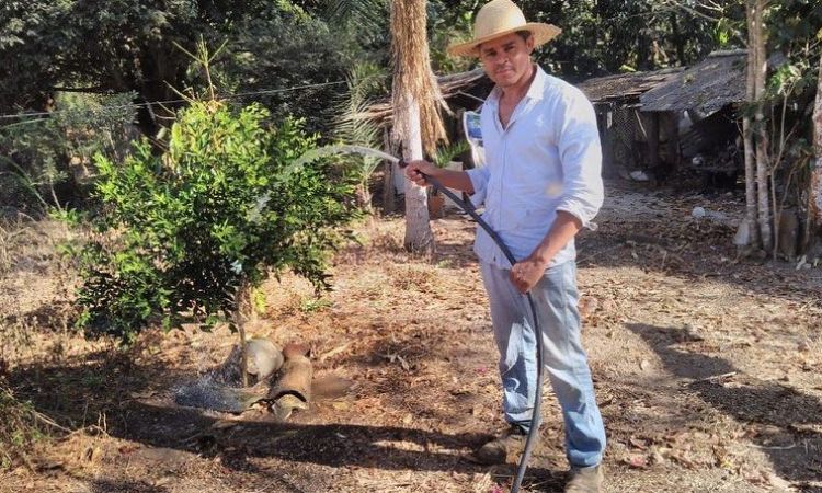 Morador de comunidade usa água para molhar as plantas