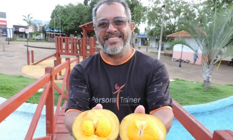 Pequi de São Miguel do Araguaia é considerado um dos melhores do Estado