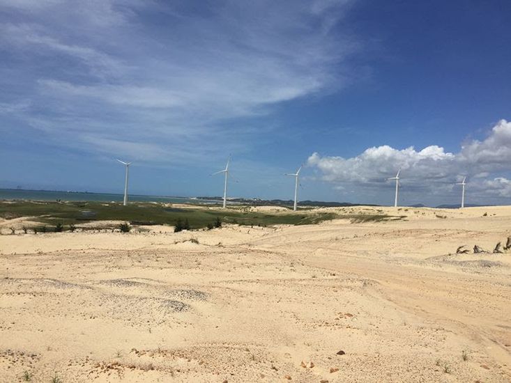 Parque eólico é uma alternativa para geração de energia elétrica limpa: Brasil tem ainda outras matrizes