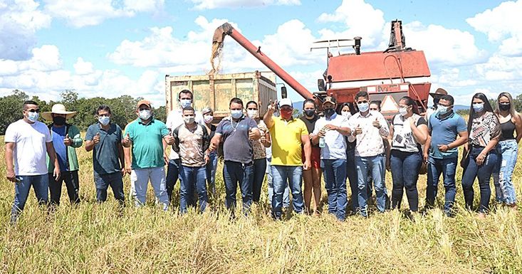 Sucesso na colheita da Lavoura Comunitária de Trombas: mais comida na mesa dos trabalhadores da cidade