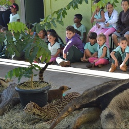CrianÃ§as puderam ver animais vÃ­timas de atropelamentos em rodovias