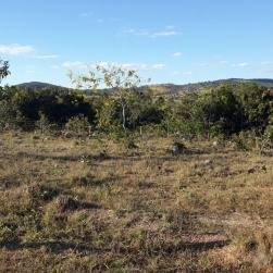 Fazenda Buriti recebe apoio do Legado Verdes do Cerrado em NiquelÃ¢ndia: preservando os mananciais da cidade e garantindo abastecimento de Ã¡gua