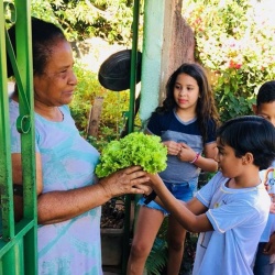 Alunos de escola pÃºblica entregam hortaliÃ§as para moradora de CrixÃ¡s