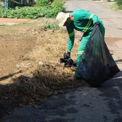 Trabalhador recolhe lixo em UruaÃ§u para evitar novos casos da dengue