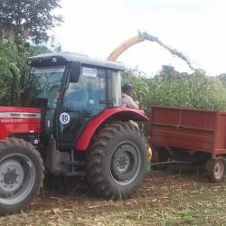 Preparo de silos na zona rural de Alto Horizonte: apoio ao produtor