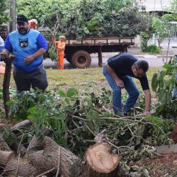 Prefeito Rafaell Melo participa ativamente do mutirÃ£o de limpeza nos bairros em Ceres: cidade mais limpa