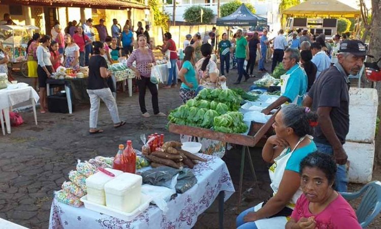 Tudo novo e fresquinho na Feira da Agricultura Familiar em Porangatu