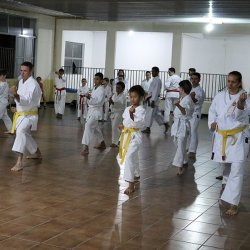 Alunos mostram todo o seu potencial esportivo durante apresentaÃ§Ã£o de karate: prÃ¡tica de esportes em alta