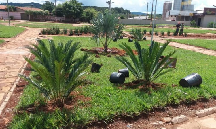 PraÃ§a no SantÃ­ssima Trindade passa por revitalizaÃ§Ã£o