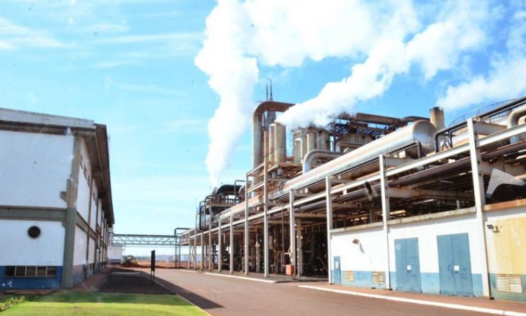 IndÃºstria de produÃ§Ã£o de etanol em GoiÃ¡s, que vÃª setor apresentar nÃºmeros positivos durante trÃªs meses