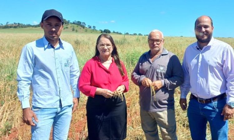 Lavoura Comunitária atende mil famílias